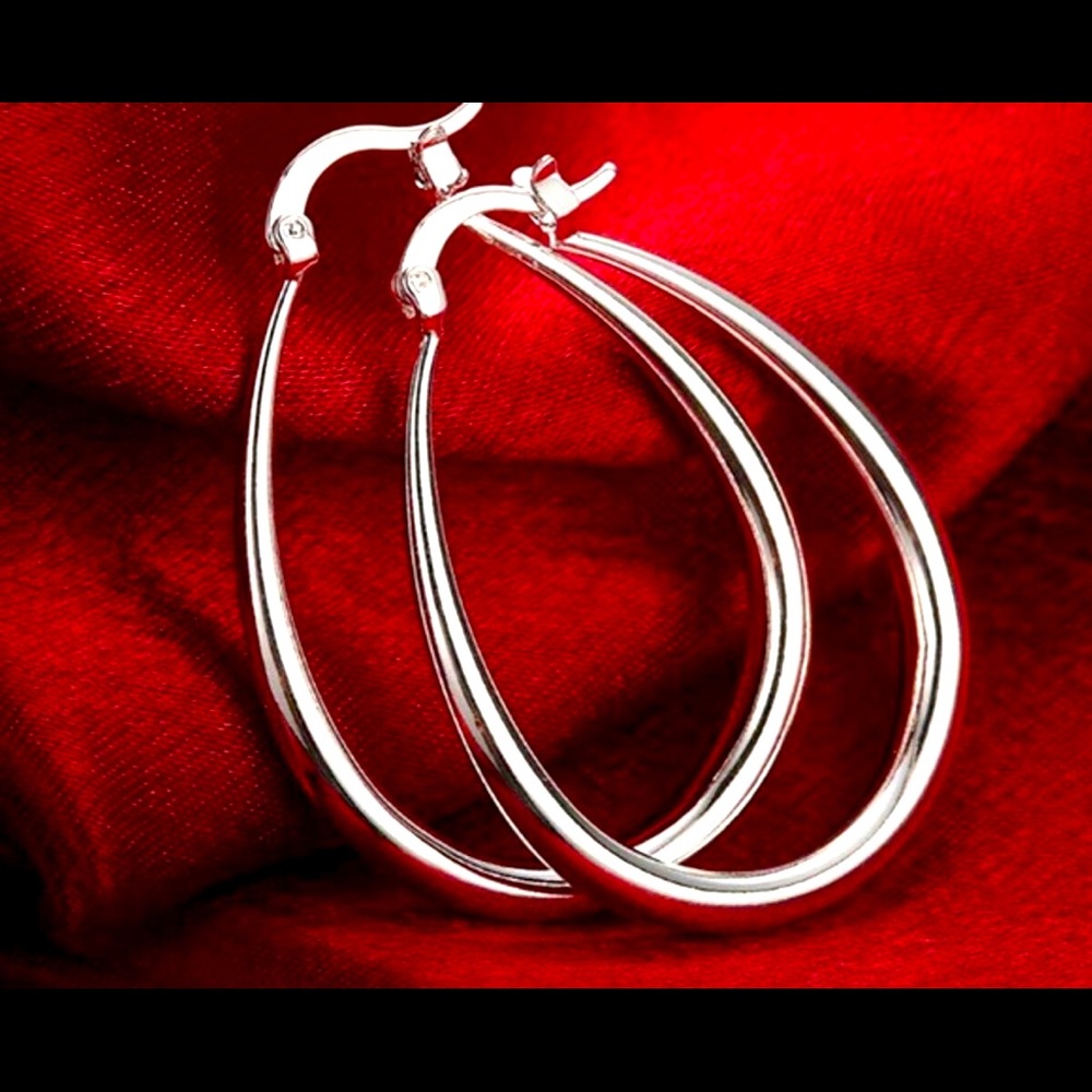 ✨Silver Beautiful Hoops✨
